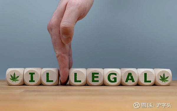 东莞队人气飙升,成为关注焦点 东莞队人气飙升,成为关注焦点