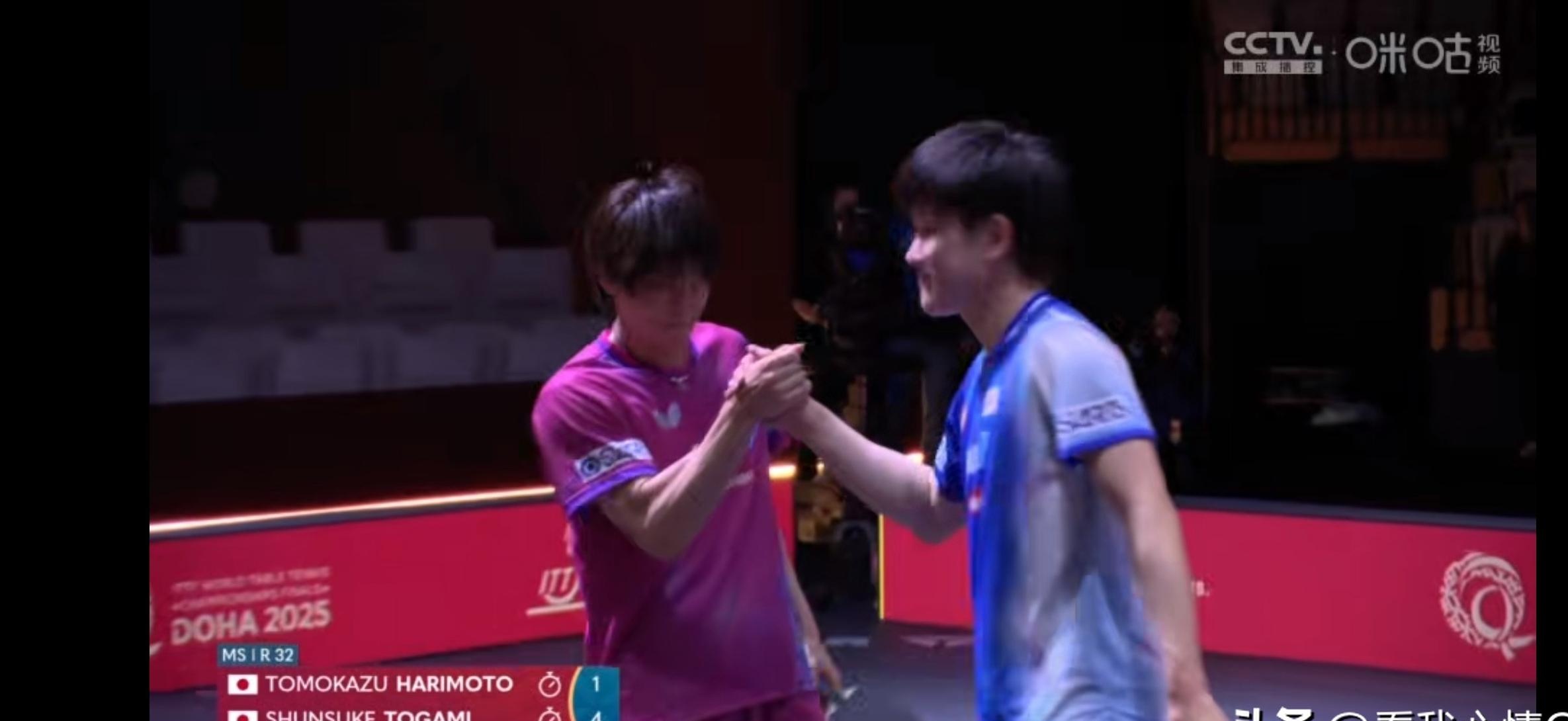 比利时乒乓球队绝杀波兰乒乓球队，张本智和制霸全场的简单介绍